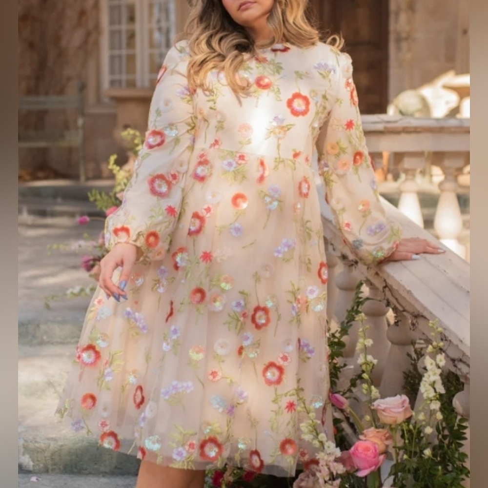 JessaKae-Serendipity-  EmbroideredDress - 2x- Never Worn,kept in original bag